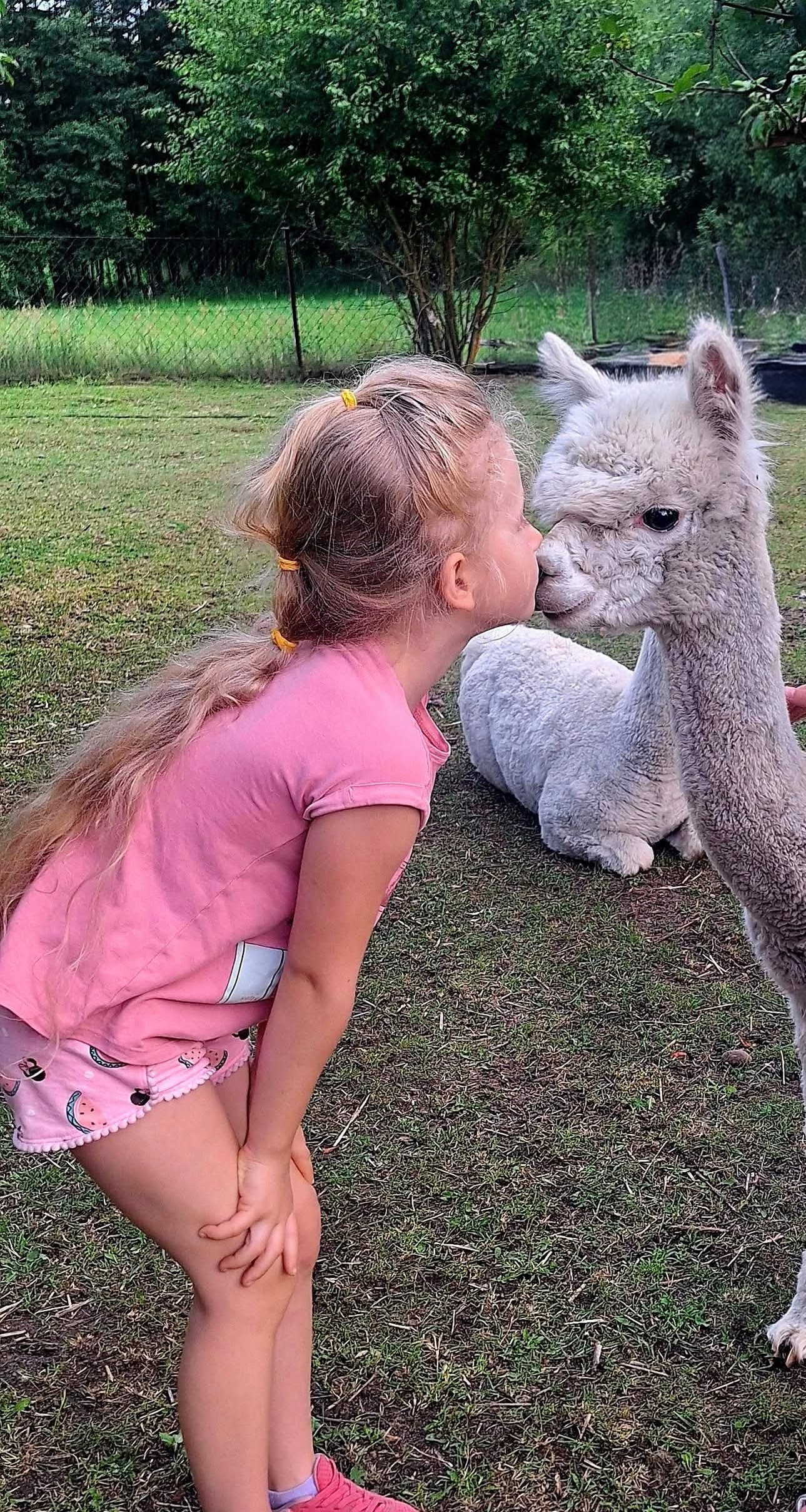 Dziewczynka z alpaką - magiczne spotkanie w Baśniowym Zwierzogrodzie