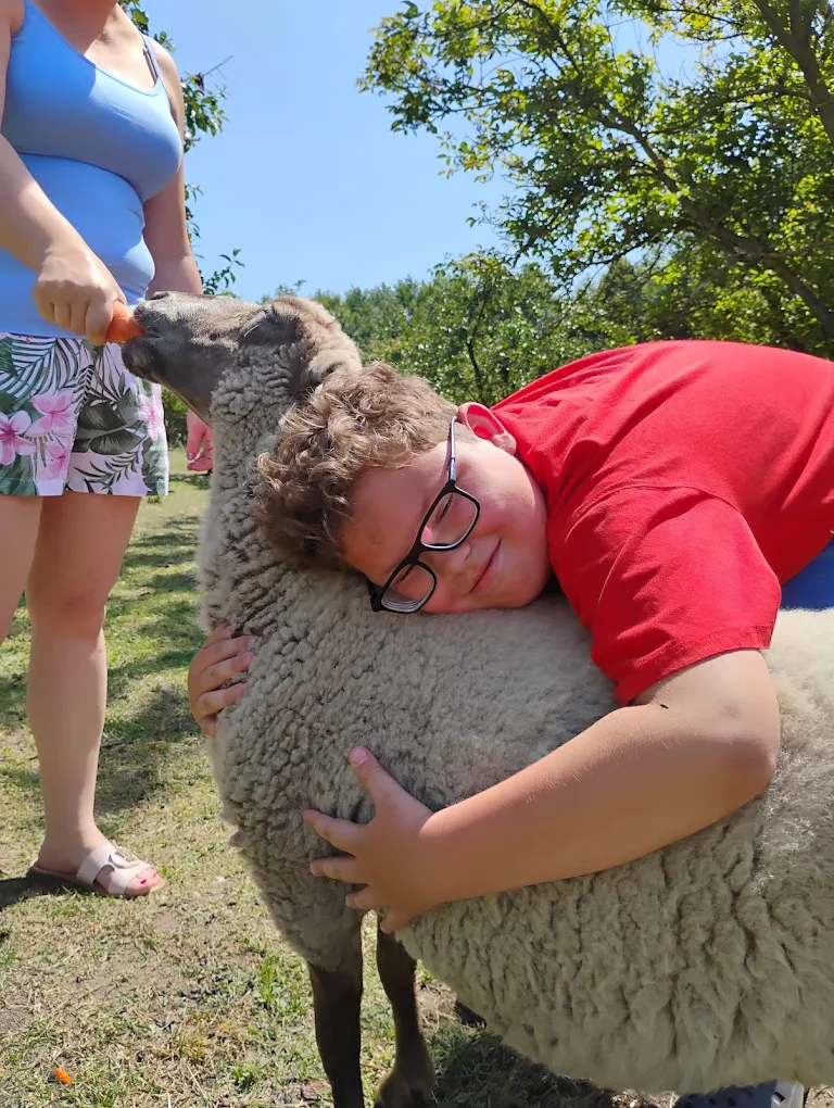 Przytulanie owcy - magiczne chwile w Baśniowym Zwierzogrodzie